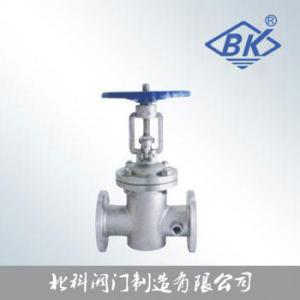 BZ41保温闸阀